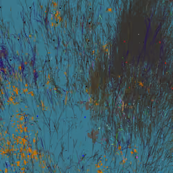 Infinite Garden: 36550 Flowers