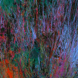 Infinite Garden: 109204 Flowers