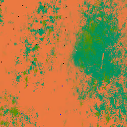 Infinite Garden: 28736 Flowers