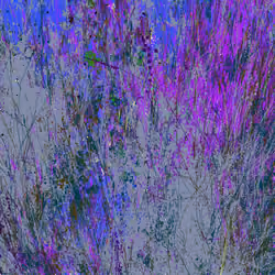 Infinite Garden: 311379 Flowers