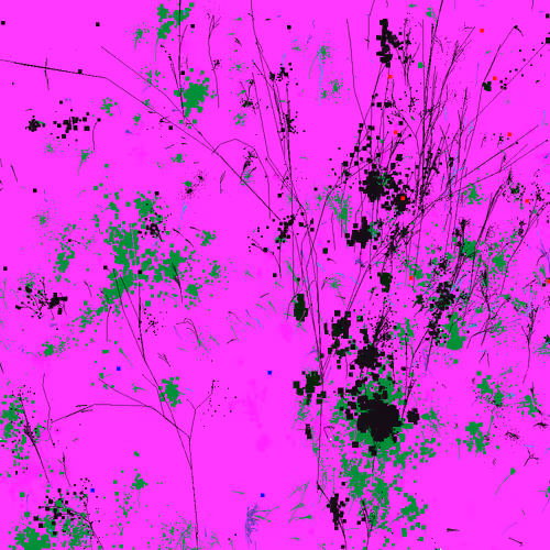 Infinite Garden: 7552 Flowers