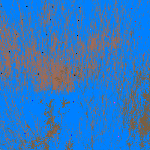 Infinite Garden: 12699 Flowers