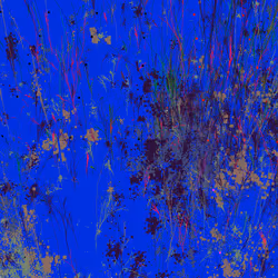 Infinite Garden: 19140 Flowers