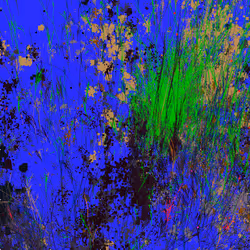 Infinite Garden: 46120 Flowers