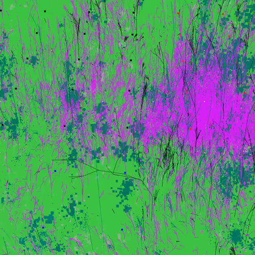 Infinite Garden: 36364 Flowers