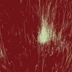 Infinite Garden: 3474 Flowers