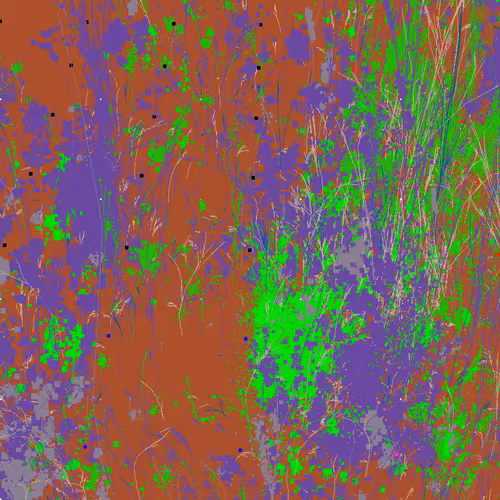 Item #6445 Media