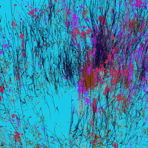 Infinite Garden: 42850 Flowers