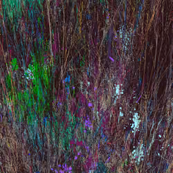 Infinite Garden: 437446 Flowers