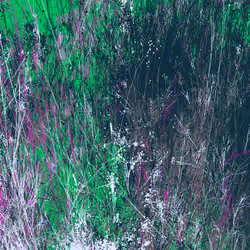 Infinite Garden: 70482 Flowers