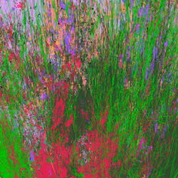Infinite Garden: 165581 Flowers