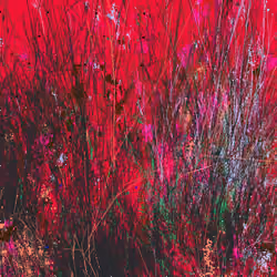 Infinite Garden: 63832 Flowers