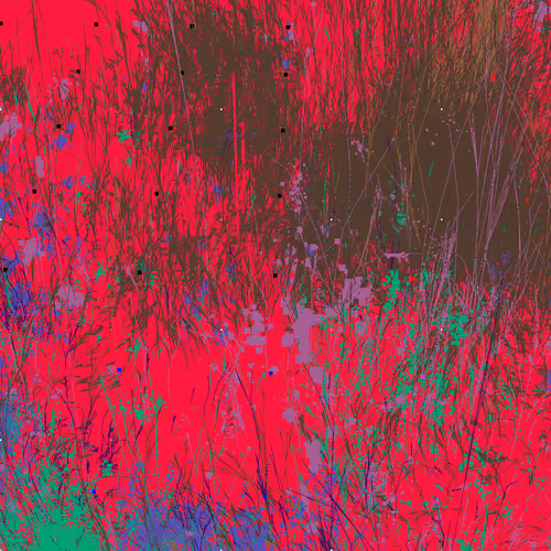 Infinite Garden: 40921 Flowers