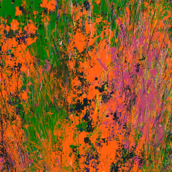 Infinite Garden: 54911 Flowers