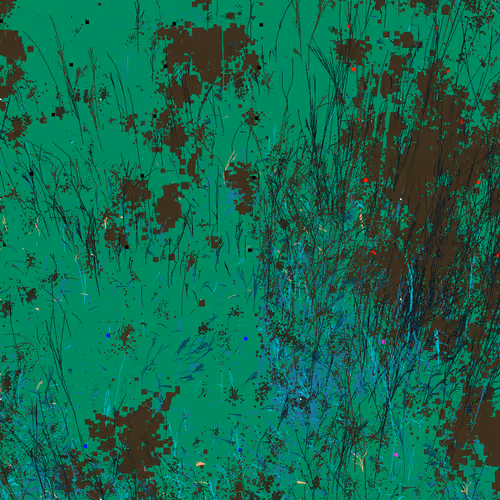 Infinite Garden: 37094 Flowers