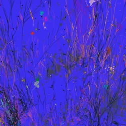 Infinite Garden: 13148 Flowers