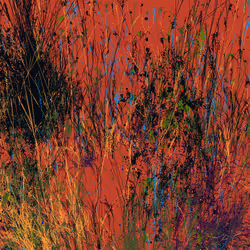 Infinite Garden: 15540 Flowers