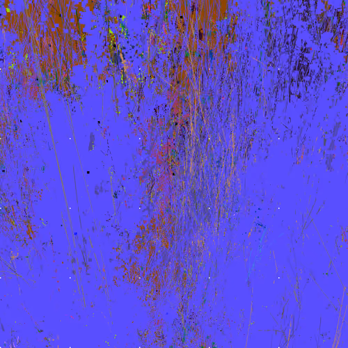 Infinite Garden: 79053 Flowers