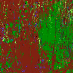 Infinite Garden: 9499 Flowers