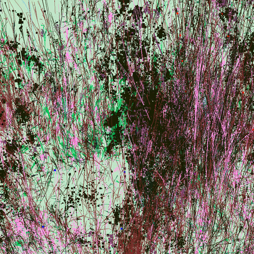 Infinite Garden: 44895 Flowers