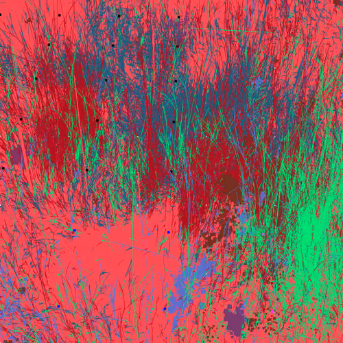 Infinite Garden: 51965 Flowers