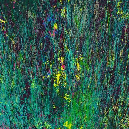 Infinite Garden: 78362 Flowers