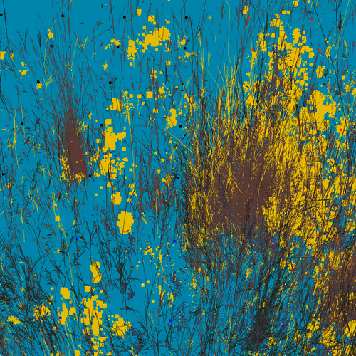 Infinite Garden: 25250 Flowers