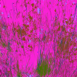 Infinite Garden: 21285 Flowers