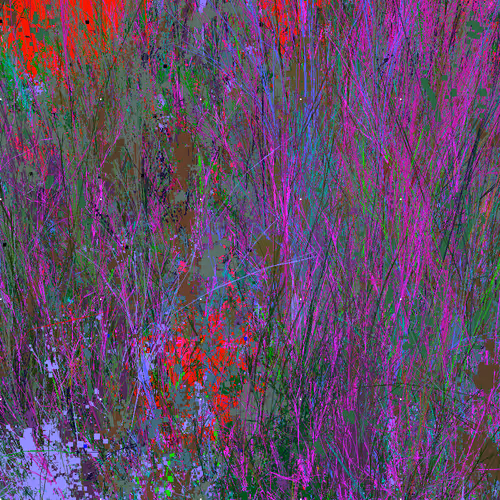 Infinite Garden: 501924 Flowers