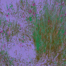 Infinite Garden: 107380 Flowers