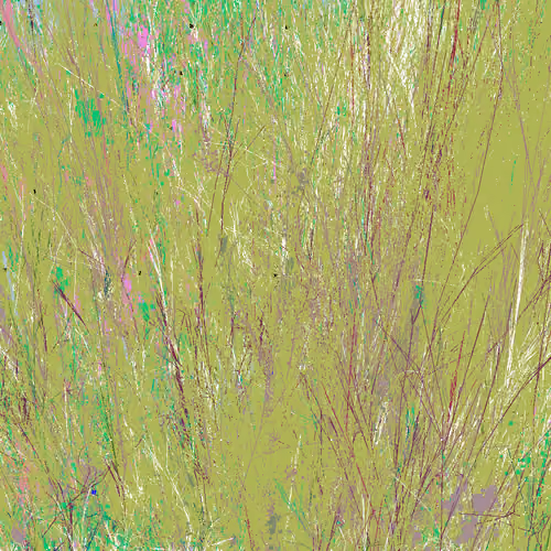 Infinite Garden: 617737 Flowers