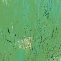 Infinite Garden: 206601 Flowers