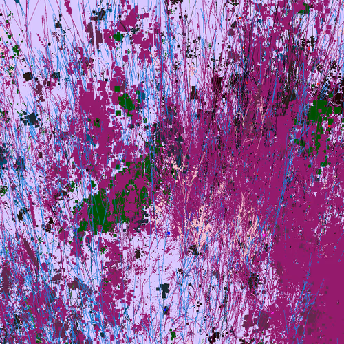 Infinite Garden: 65985 Flowers