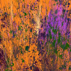 Infinite Garden: 48428 Flowers