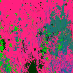 Infinite Garden: 14415 Flowers