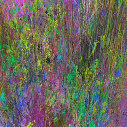 Infinite Garden: 370400 Flowers