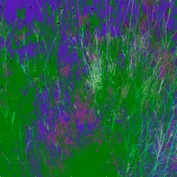Infinite Garden: 39420 Flowers
