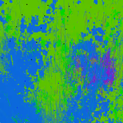 Infinite Garden: 29448 Flowers