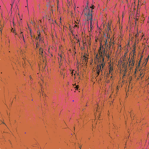 Infinite Garden: 119706 Flowers