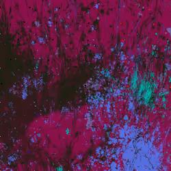 Infinite Garden: 167611 Flowers