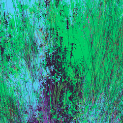 Infinite Garden: 61054 Flowers