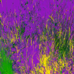 Infinite Garden: 38365 Flowers