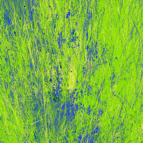 Infinite Garden: 151572 Flowers
