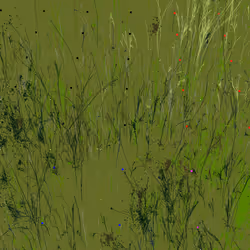 Infinite Garden: 10617 Flowers