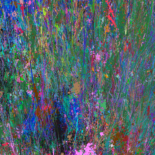 Infinite Garden: 812760 Flowers