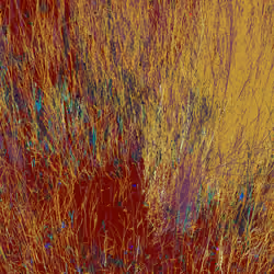 Infinite Garden: 141502 Flowers