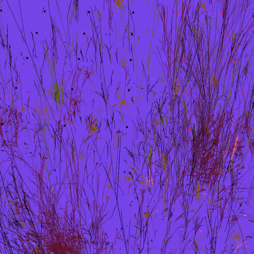 Infinite Garden: 11475 Flowers