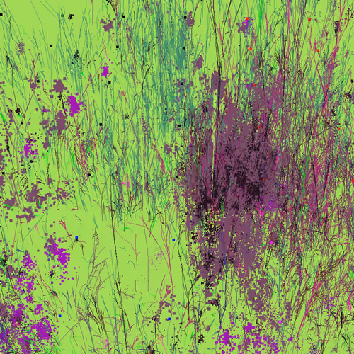 Infinite Garden: 22809 Flowers