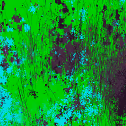 Infinite Garden: 16969 Flowers