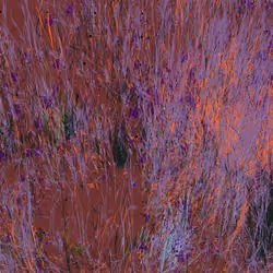Infinite Garden: 105205 Flowers